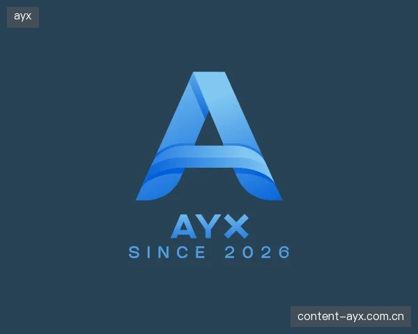 发现ayx公司